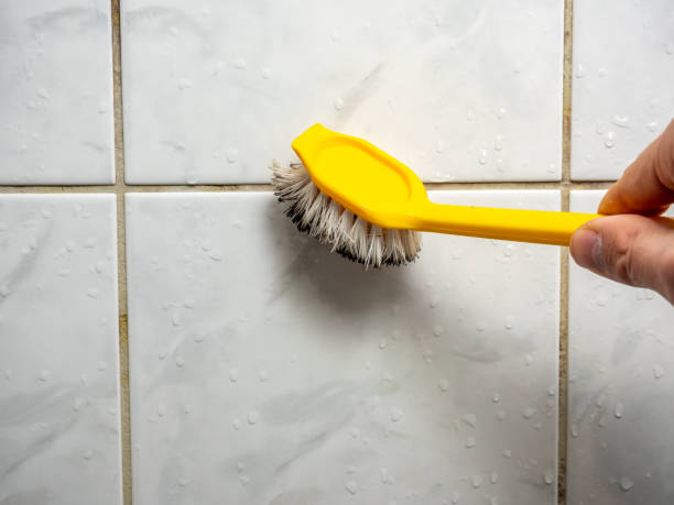 Best Mold Remediation Services  in Rochelle, GA