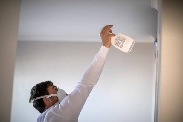 Best Black Mold Removal  in Rochelle, GA